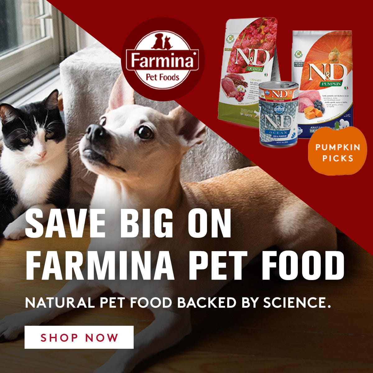Advertisement for Farmina Pet Foods featuring a dog and cat with product packaging.