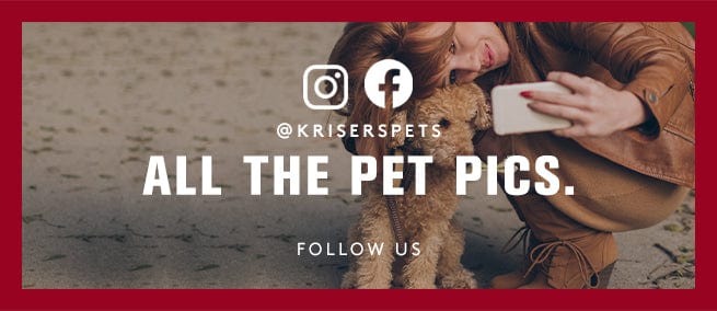 All the Pet Pics. Follow Us on Facebook & Instagram. Click to go to Facebook.