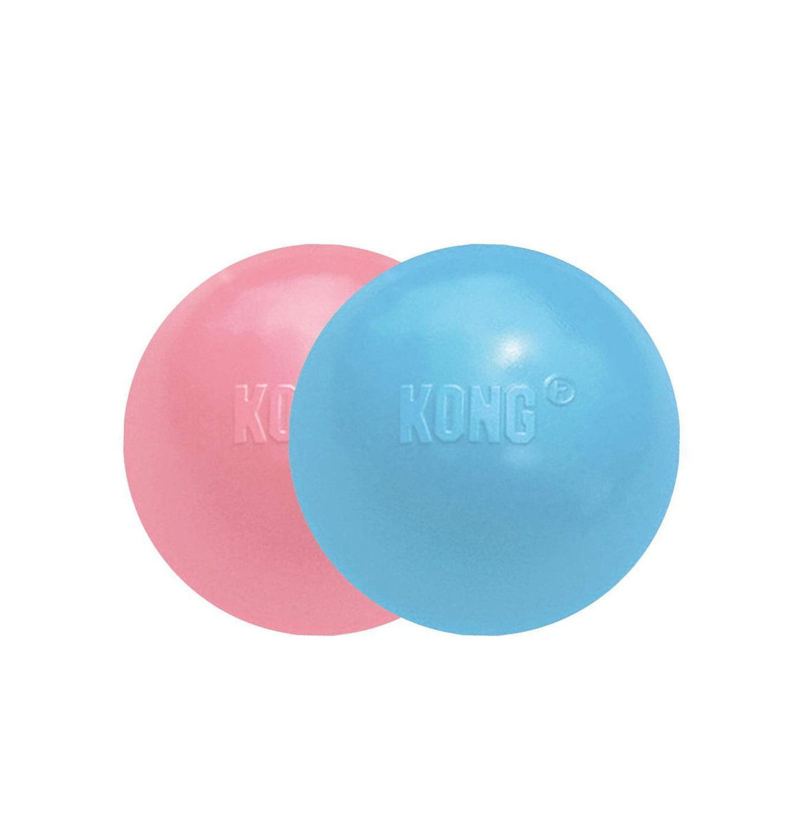 Blue KONG – Give the Dog a Ball