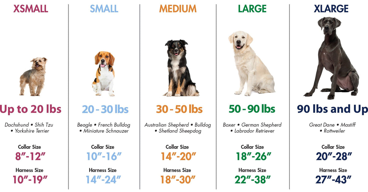 Coastal Pet Sublime® Adjustable Dog Collar – K-9 Village