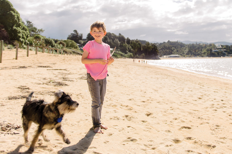 Why New Zealand Pet Food Is Unique