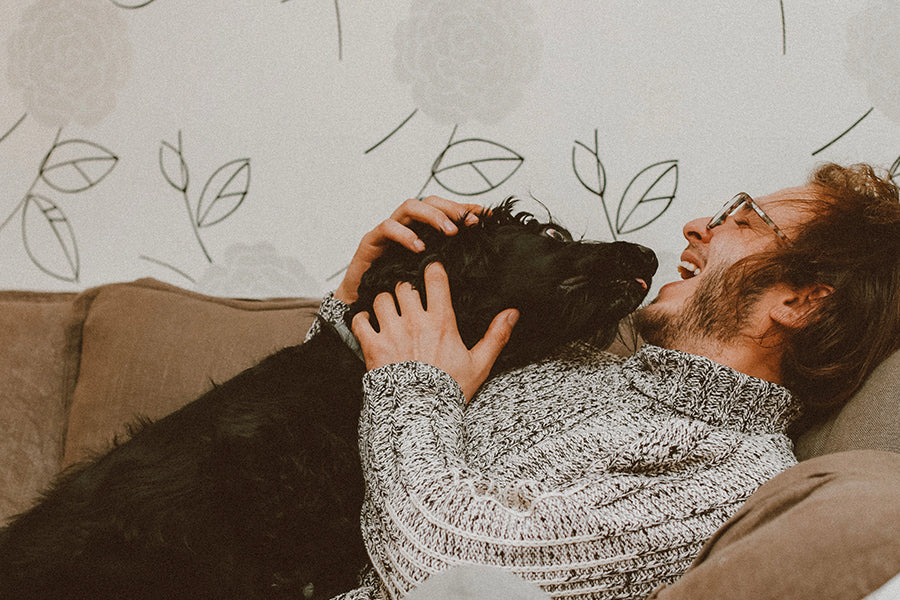 Understanding the Bond Between Dogs and People