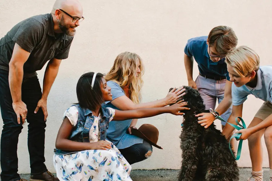 How Pets Help You Make Human Friends