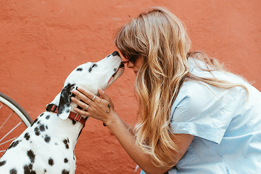 Who Takes Care of Who: The Pet-Owner Relationship