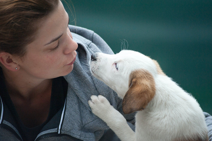 Why Your Pet Is More Than Just a Pet