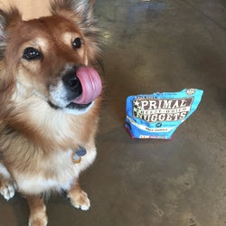 Benefits of Raw or Alternative Foods for Your Pet