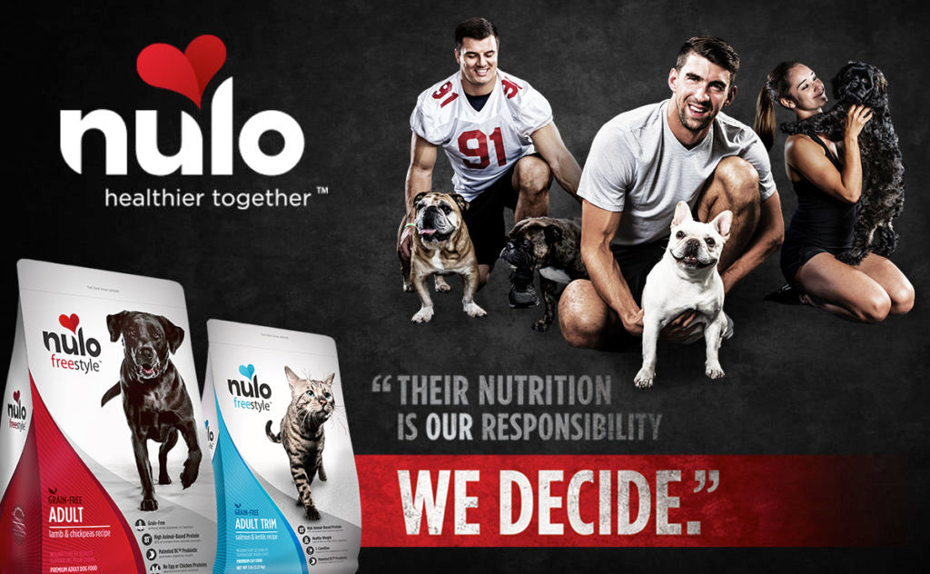 Why Nulo Is a Top Choice for Pet Nutrition