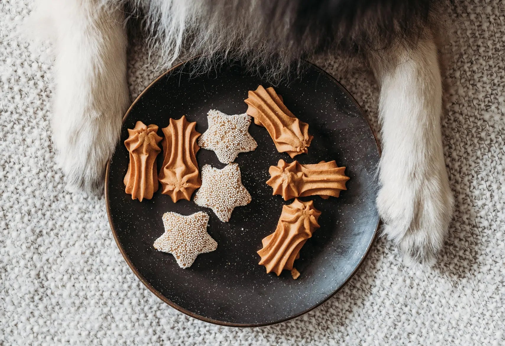 How to Throw a Holiday Party for Your Dog