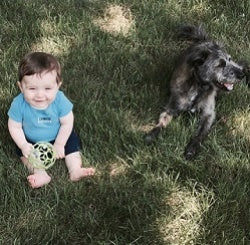 How to Introduce Your Dog to a New Baby