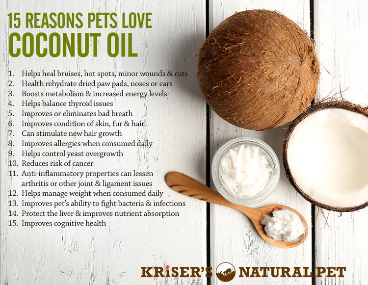15 Reasons Why Pets Love Coconut Oil