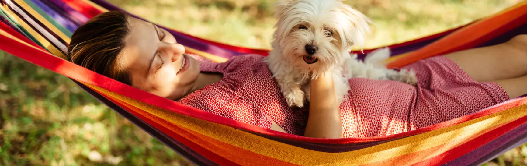 Summer Safety Tips to Keep Your Pets Cool