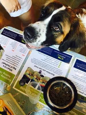 Why You Should Try Ziwi Peak Pet Food