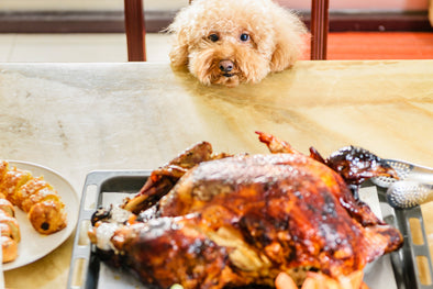 UNLIKE STUFFING AND CASSEROLES,  HERE ARE SOME THANKSGIVING DISHES THAT ARE GREAT FOR PET STOMACHS.