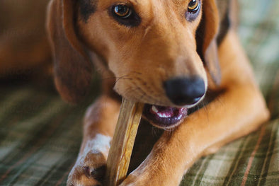 WITH A SAFER CHEW, YOU BOTH GET TO RELAX. GET TO KNOW ETTA SAYS! PET TREATS.