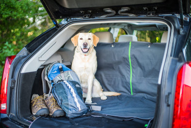 Get Prepared for Summer Travel – Kurgo Pet Travel Safety Tips