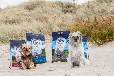 ZIWI ETHICALLY FARMED DOG & CAT FOOD FROM NEW ZEALAND