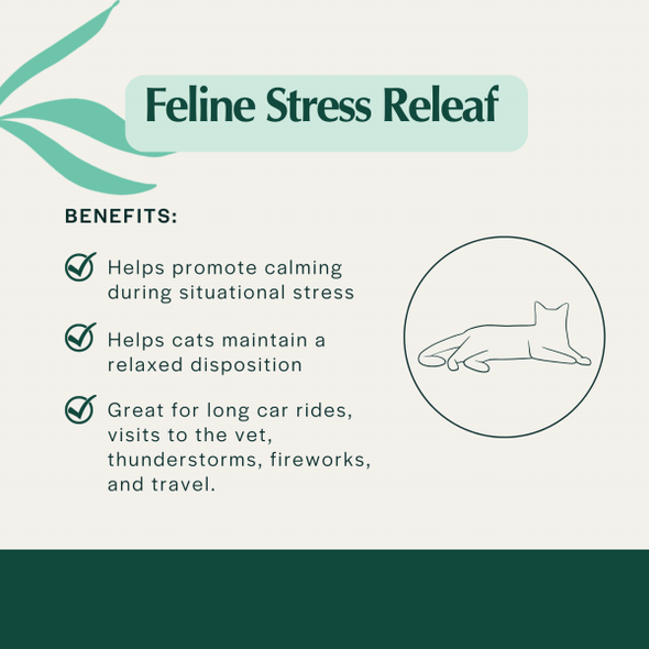 Pet Releaf Feline Stress Releaf 180mg Hemp Oil for Cats