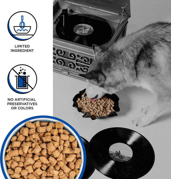 Bixbi Rawbble Freeze-Dried Turkey Recipe Dog Food