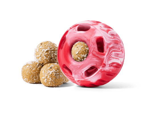 Woof Pupsicle Long Lasting Refillable Dog Treat Dispenser Toy in Holiday Candy Cane