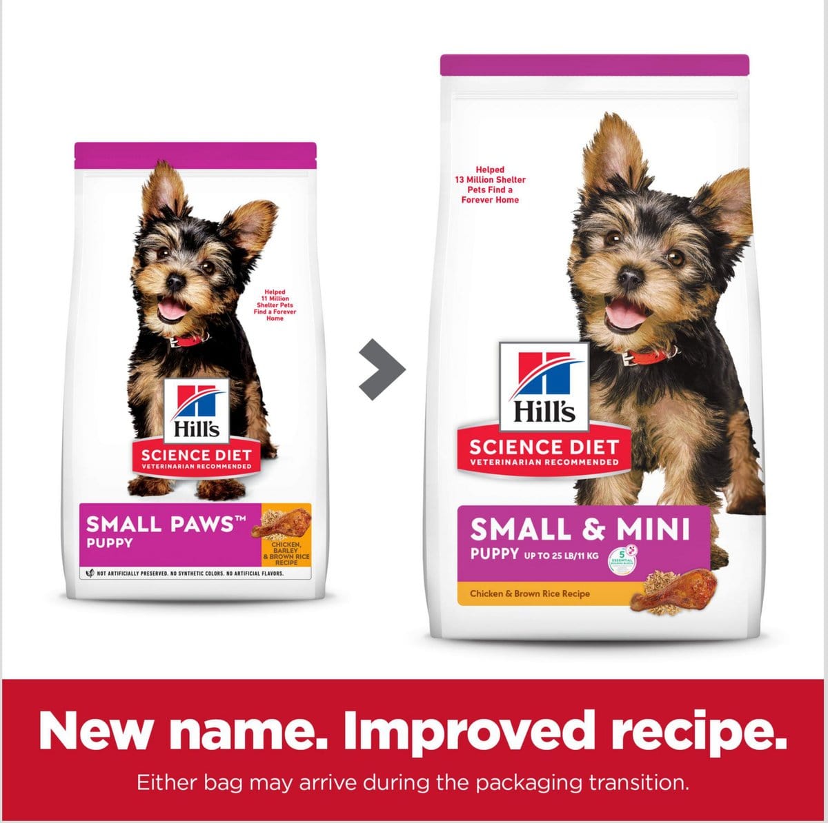 Hill’s Science Diet Puppy Small & Mini Chicken Recipe Dry Dog Food