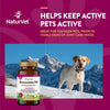 NaturVet Glucosamine DS Level 1 Maintenance Care Time Release Chewable Tablets for Dogs