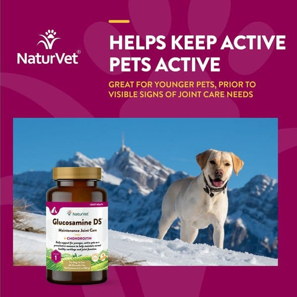 NaturVet Glucosamine DS Level 1 Maintenance Care Time Release Chewable Tablets for Dogs