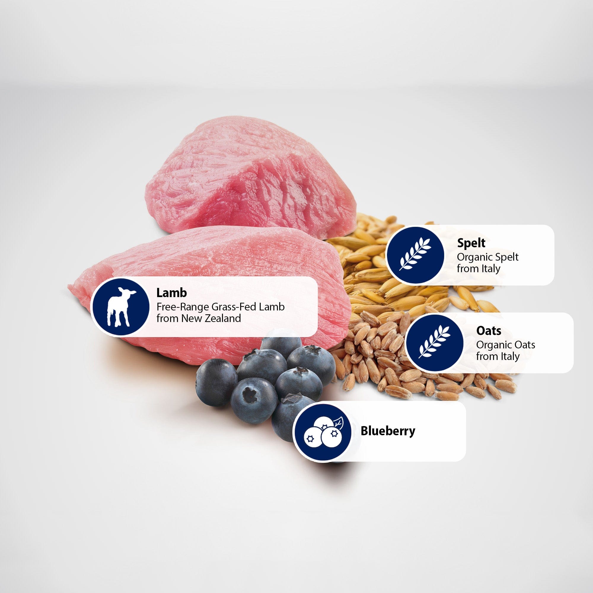 Farmina N&D Ancestral Grain Lamb Blueberry Medium Maxi Puppy Dry D