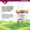 NaturVet Glucosamine DS Level 1 Maintenance Care Soft Chews for Dogs