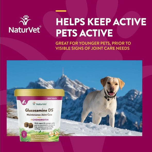 NaturVet Glucosamine DS Level 1 Maintenance Care Soft Chews for Dogs