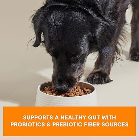 Open Farm Epic Blend Chicken & Superfood Dry Dog Food