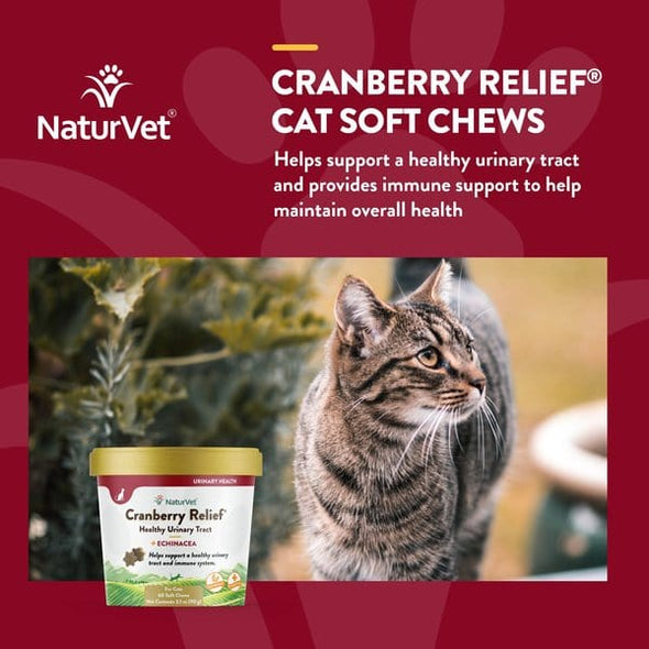 NaturVet Cranberry Relief Plus Echinacea for Cats