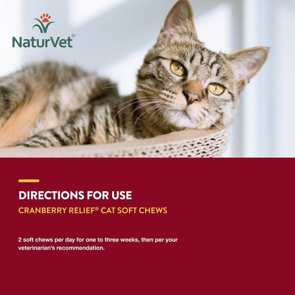 NaturVet Cranberry Relief Plus Echinacea for Cats