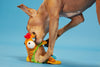 BARK Ernesto the Fish Taco Dog Toy