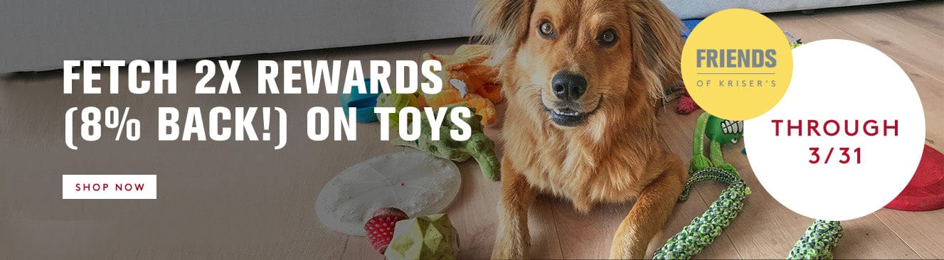Dog with toys and promotional text for Fetch 2x Rewards program