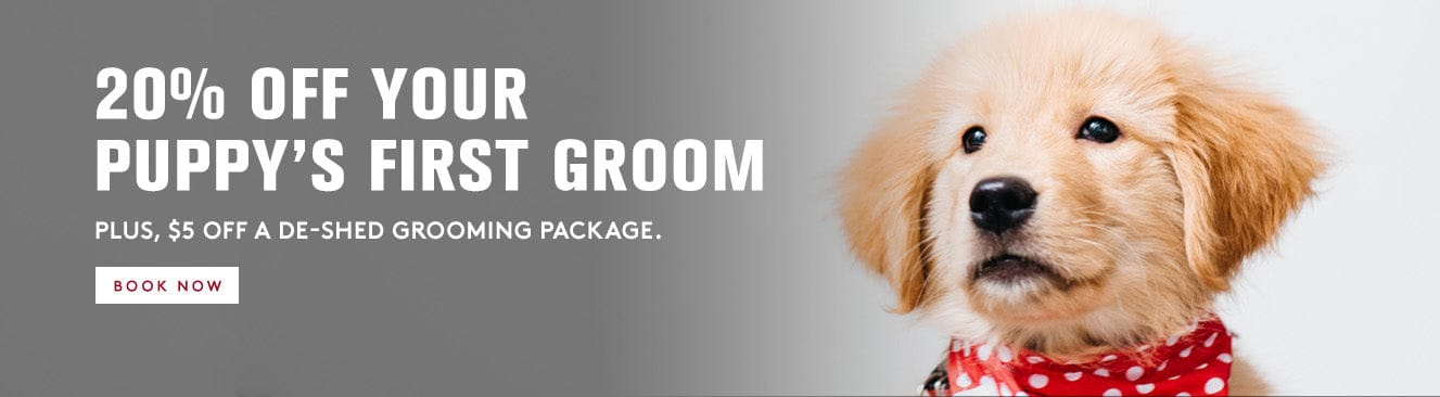 Promotional banner for a dog grooming service with a puppy and text offer.