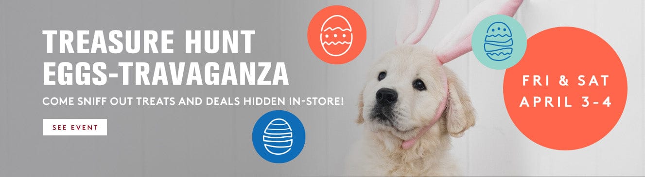 Promotional banner for 'Treasure Hunt Eggs-Travaganza' event with a dog and Easter eggs.