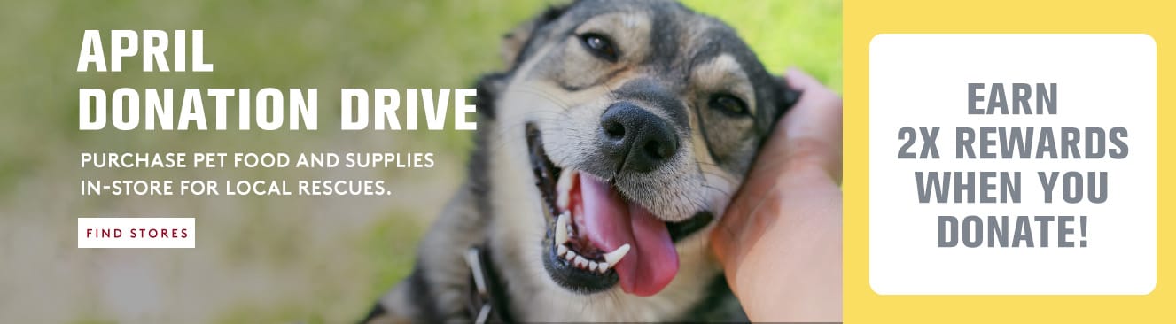 Dog with open mouth, tongue out, held by a person with text about an April donation drive for pet food and supplies.