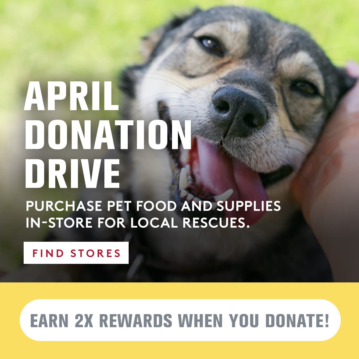 Dog with open mouth, tongue out, held by a person with text about an April donation drive for pet food and supplies.