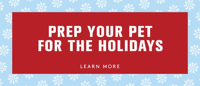Red banner with white text 'PREP YOUR PET FOR THE HOLIDAYS' on a blue background with snowflakes.