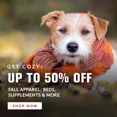 All Star Dogs: East Tennessee State University Pet apparel and accessories