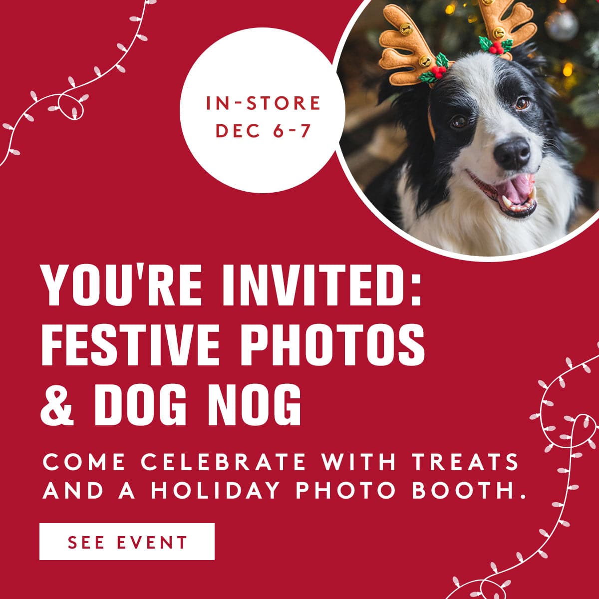 Promotional flyer for festive photos and dog nog event with a dog wearing reindeer antlers on a red background.