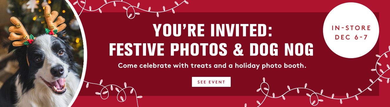 Invitation to festive photos and dog nog event with a dog wearing reindeer antlers on a red background.