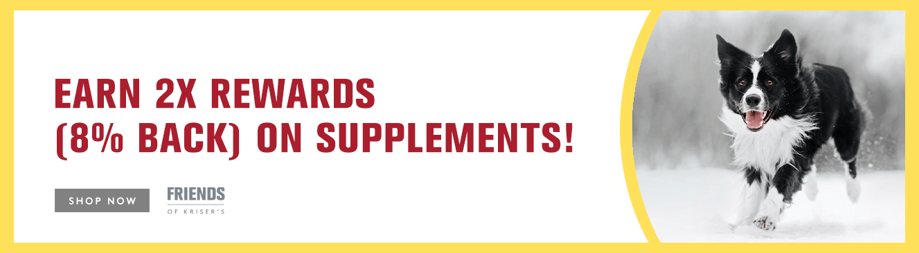 Promotional banner with a dog in the snow and text about earning rewards on supplements.