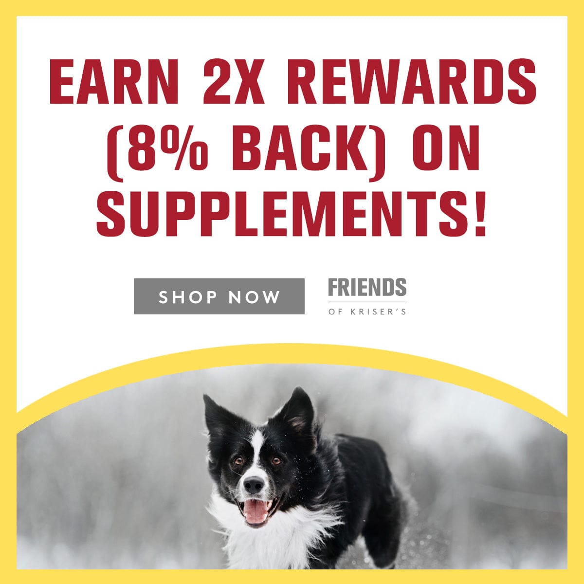Promotional graphic with a dog and text about earning rewards on supplements, featuring the Friends of Kriser's brand.