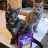 Stella & Chewy's Meowfulls Freeze Dried Chicken & Chicken Liver Cat Treats