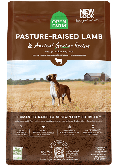 Best grain free dog food without legumes deals