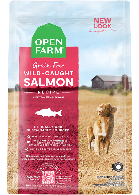 Mizuno wave online rider 19 prisjakt