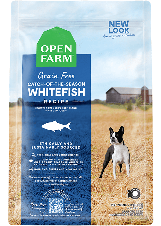 Open Farm Grain Free Catch of the Season Whitefish and Green Lentil Recipe Dry Dog Food