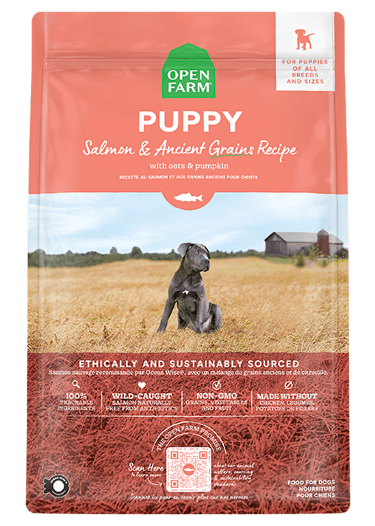 Open Farm Ancient Grains Salmon Puppy Dry Dog Food
