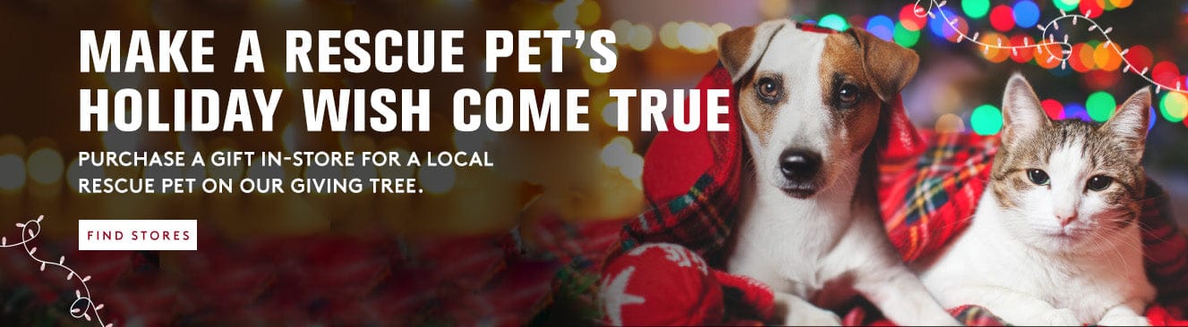 Two dogs and a cat in front of a Christmas tree with lights, promotional text for giving tree in stores for local rescue pets.